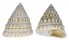 TROCHIDAE TECTUS FENESTRATUS shell