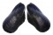 MYTILIDAE MODIOLUS AURICULATUS shell
