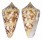 CONIDAE CONUS AMMIRALIS shell