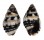 MITRIDAE PUSIA PISOLINUM shell