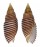 MITRIDAE DOMIPORTA FILARIS shell