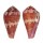 CONIDAE CONUS PERTUSUS AMABILIS shell