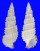 CERITHIIDAE CERITHIUM SCOBINIFORME shell