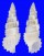 CERITHIIDAE CERITHIUM SCOBINIFORME shell
