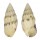 CERITHIIDAE CERITHIUM ATROMARGINATUM shell