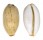CYPRAEIDAE LURIA ISABELLA ATRICEPS shell