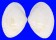 MACTRIDAE MACTRA CHINENSIS shell