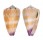 CONIDAE CONUS TESSULATUS shell