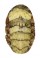 CHITONIDAE NUTTALINA CALIFORNICA shell
