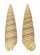 CERITHIIDAE BITTIUM GRANARIUM shell