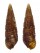 CERITHIIDAE BITTIUM GRANARIUM shell