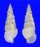 CERITHIIDAE CERITHIUM SCOBINIFORME shell