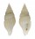 MITRIDAE VEXILLUM EPIGONUS shell
