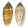 MITRIDAE PTERYGIA CRENULATA shell