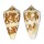CONIDAE CONUS AMMIRALIS ARCHITHALASSUS shell