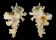 MURICIDAE HOMALOCANTHA ZAMBOI shell