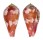 CONIDAE CONUS PERTUSUS AMABILIS shell