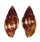 MITRIDAE NEBULARIA CUCUMERINA shell