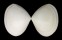 MACTRIDAE SPISULA DISCORS shell