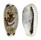 CYPRAEIDAE ERRONEA CYLINDRICA SOWERBYANA shell