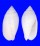 MITRIDAE PTERYGIA NUCEA shell