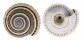ARCHITECTONICIDAE ARCHITECTONICA PERSPECTIVA shell