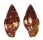 MITRIDAE NEBULARIA CUCUMERINA shell