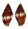 MITRIDAE NEBULARIA CUCUMERINA shell