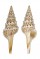 TURRIDAE UNEDOGEMMULA BISAYA shell
