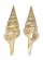 TURRIDAE UNEDOGEMMULA BISAYA shell