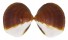GLYCYMERIDIDAE GLYCYMERIS REEVEI shell