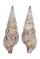 TURRIDAE XENOTURRIS cf. LEGITIMA shell