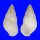 LANDSNAIL AMPHIDROMUS QUADRASI shell