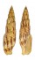 MITRIDAE MITRA INCOMPTA shell