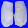 LATERNULIDAE LATERNULA SPENGLERI shell