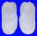 LATERNULIDAE LATERNULA SPENGLERI shell