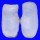 LATERNULIDAE LATERNULA SPENGLERI shell