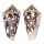 CONIDAE CONUS AMMIRALIS shell