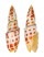 MITRIDAE MITRA MITRA shell