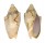 VOLUTIDAE CYMBIOLA VESPERTILIO shell