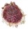 SPONDYLIDAE SPONDYLUS VARIANS shell