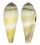 CONIDAE CONUS TEREBRA shell