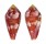 CONIDAE CONUS PERTUSUS AMABILIS shell