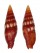 MITRIDAE VEXILLUM CORALLINUM shell