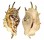 STROMBIDAE LAMBIS LAMBIS shell