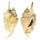 STROMBIDAE LAMBIS LAMBIS shell