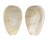 CYSTISCIDAE GIBBERULA PULCHELLA shell