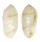 MARGINELLIDAE VOLVARINA ZONATA shell