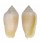 MITRIDAE IMBRICARIA PUNCTATA shell