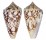 CONIDAE CONUS AMMIRALIS shell